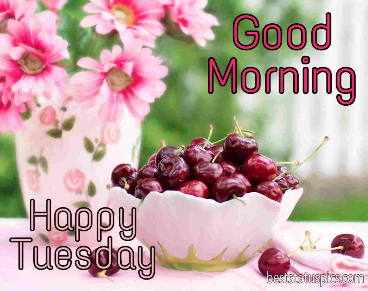 Happy tuesday good morning