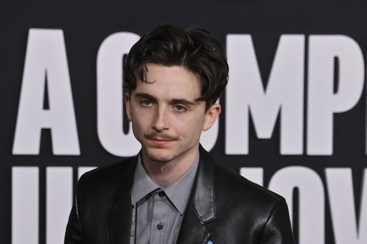 Timothée chalamet bob dylan